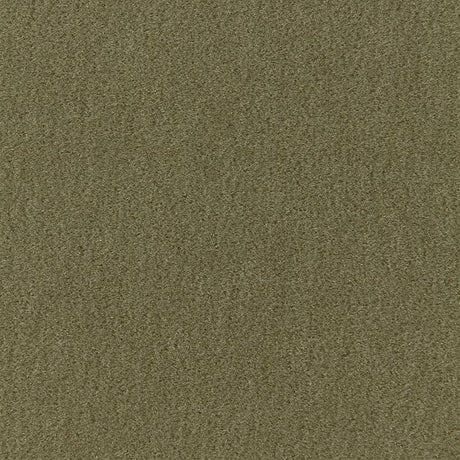 Schumacher San Carlo Mohair Velvet Moss Fabric