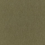 Schumacher San Carlo Mohair Velvet Moss Fabric