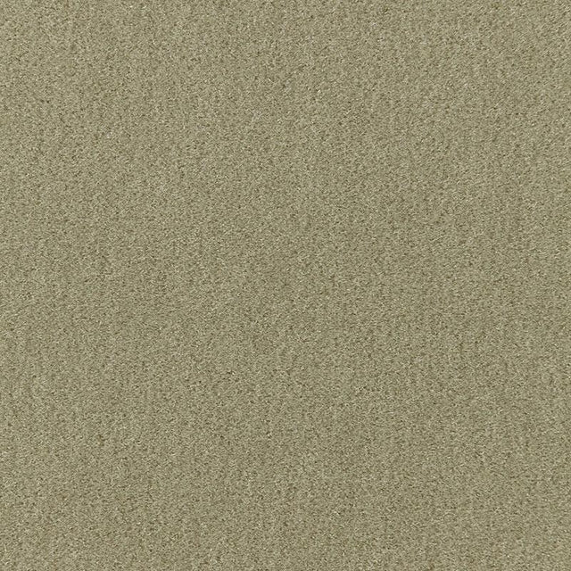 Schumacher Palermo Mohair Velvet Lichen Fabric