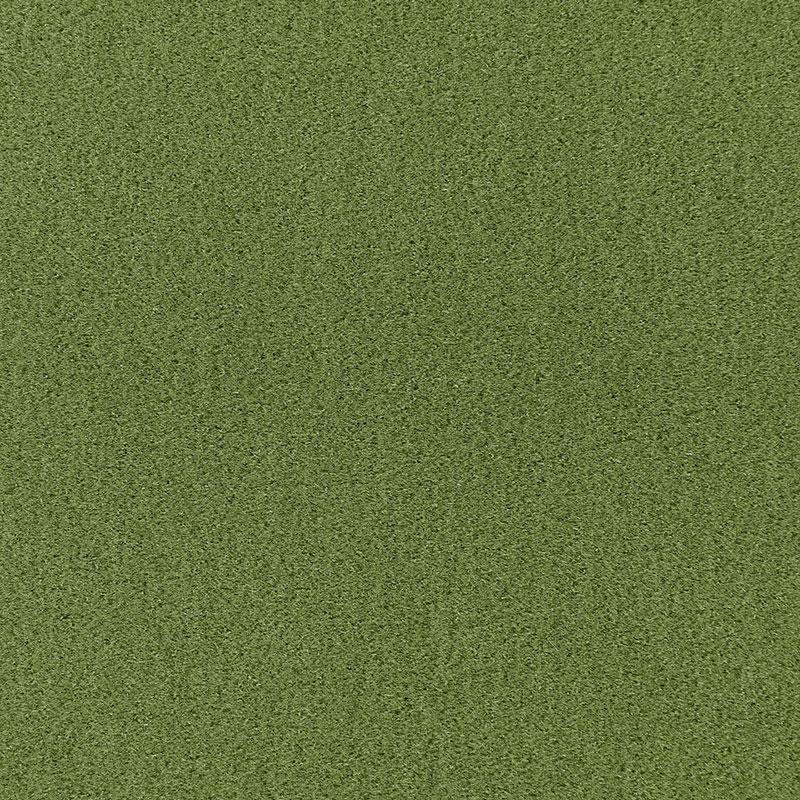 Schumacher Palermo Mohair Velvet Grass Fabric