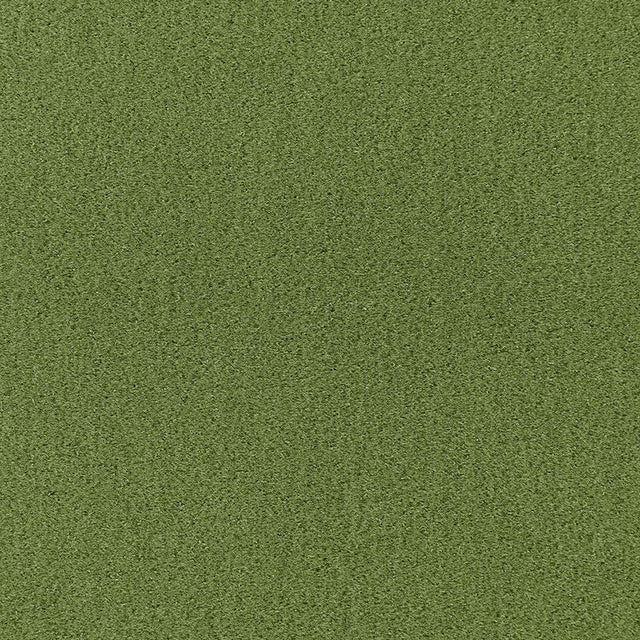 Schumacher Palermo Mohair Velvet Grass Fabric