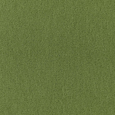 Schumacher Palermo Mohair Velvet Grass Fabric