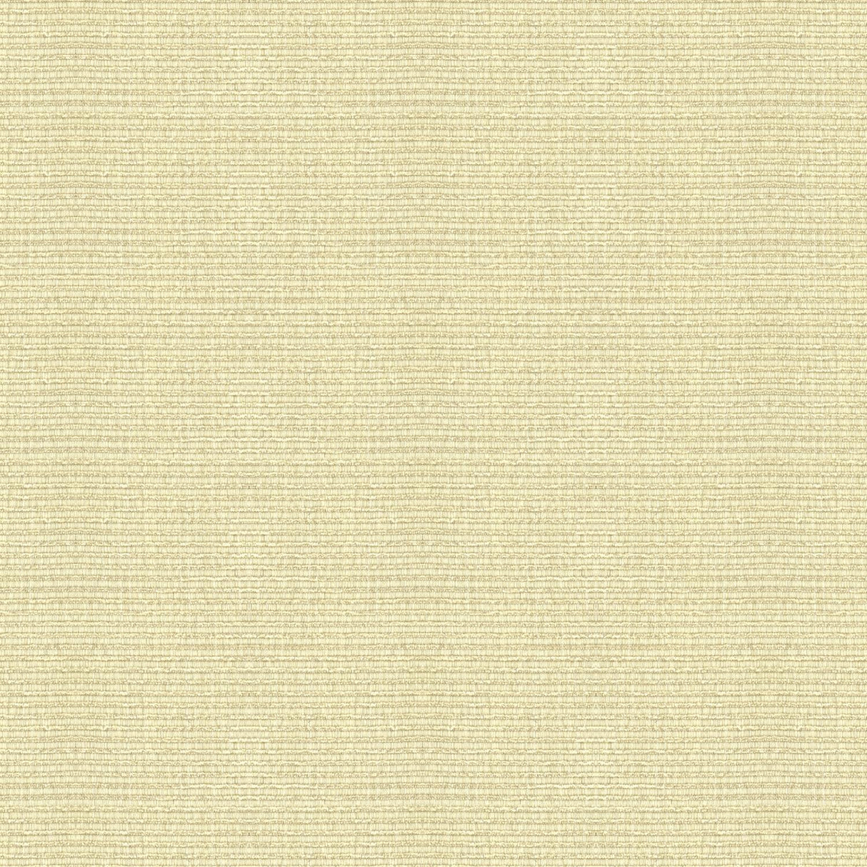 Kravet SMART 32946 1 Upholstery Fabric