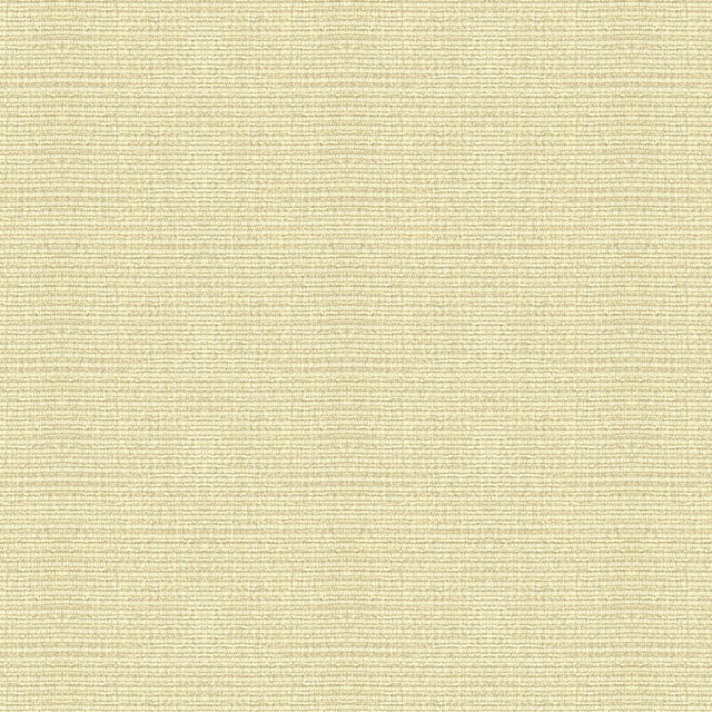 Kravet SMART 32946 1 Upholstery Fabric