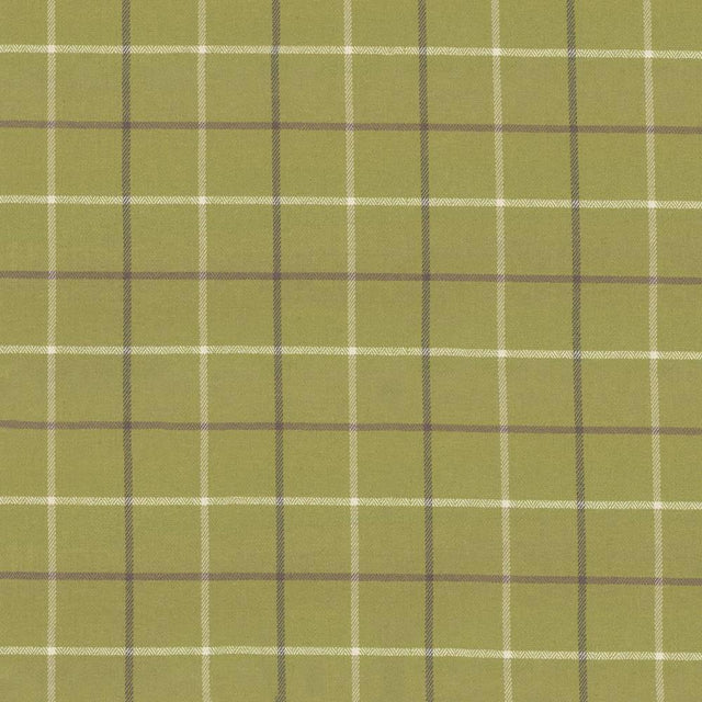 Kasmir Steinbeck Check Palm Fabric