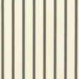 Kasmir Stripe Delight Grey Fabric