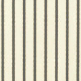 Kasmir Stripe Delight Grey Fabric