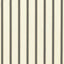 Kasmir Stripe Delight Grey Fabric