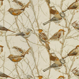 Kravet PERCHED NATURAL Fabric