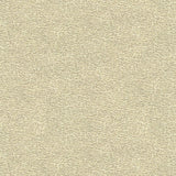 Kravet SHAGREEN LUXURY PLATINUM Upholstery Fabric