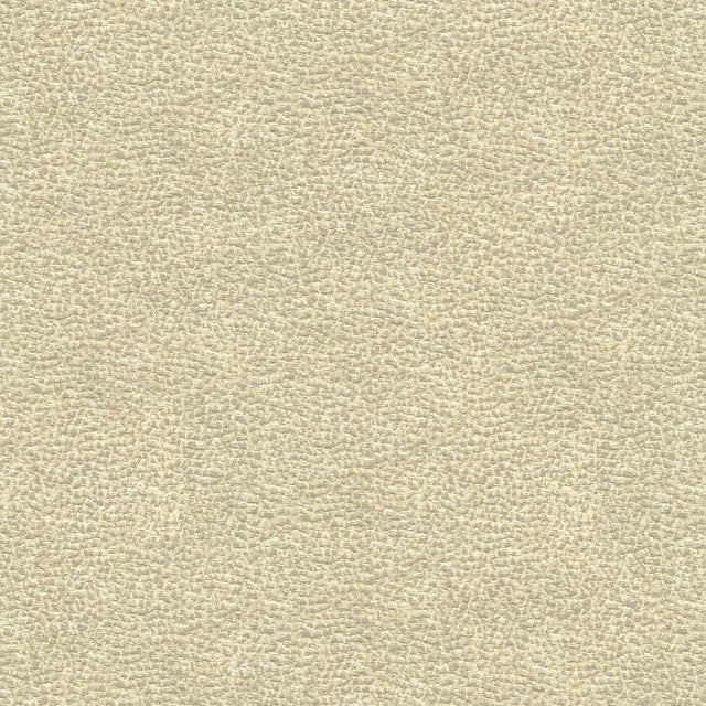 Kravet SHAGREEN LUXURY PLATINUM Upholstery Fabric