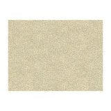 Kravet Shagreen Luxury Platinum Fabric