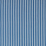 Schumacher Antique Ticking Stripe Indigo Fabric
