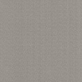Kasmir Super Sonic Flint Fabric