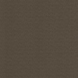 Kasmir Super Sonic Ganache Fabric