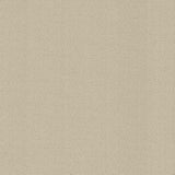 Kasmir Super Sonic Tahini Fabric
