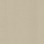 Kasmir Super Sonic Tahini Fabric