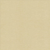 Kasmir Symphony /D Buff Fabric