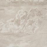 Schumacher Cloud Toile Champagne Fabric