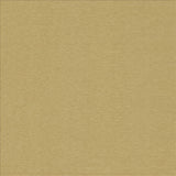 Kasmir Symphony /D Chamois Fabric