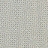 Schumacher Berrydown Blue Fabric