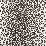 Schumacher Iconic Leopard Indoor/Outdoor Graphite Fabric