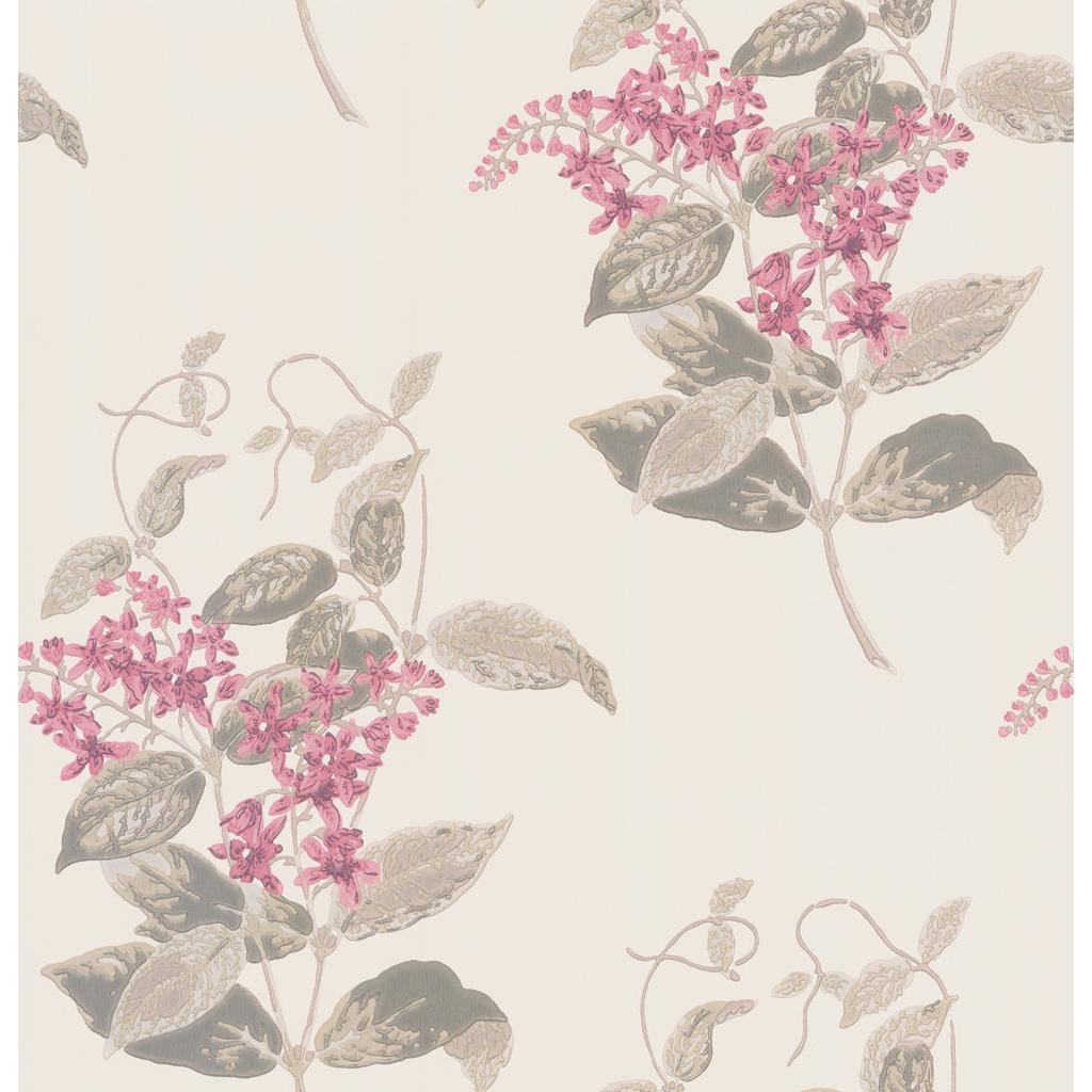 Cole & Son MADRAS VIOLET PINK Wallpaper