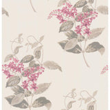 Cole & Son MADRAS VIOLET PINK Wallpaper