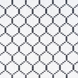 Schumacher Fishnet Spectator Fabric