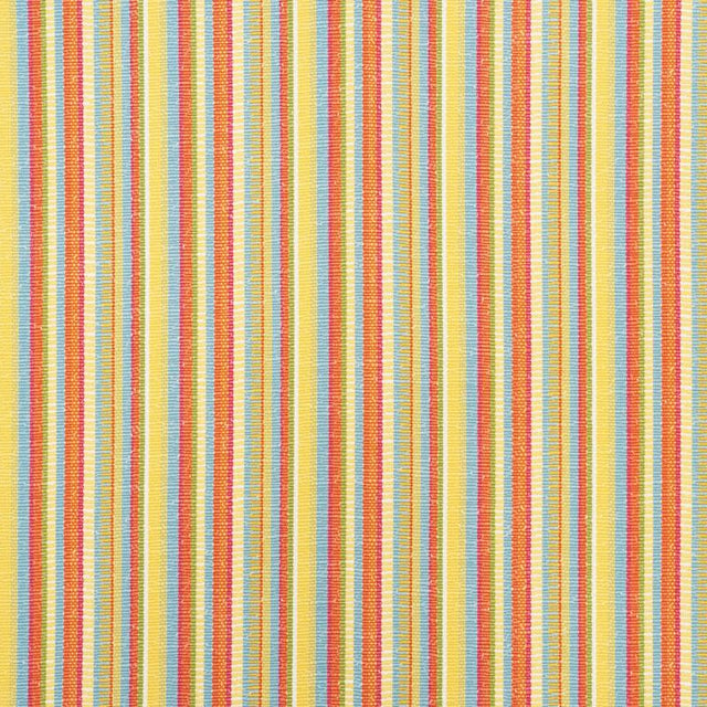 Schumacher Primavera Stripe Marigold Fabric