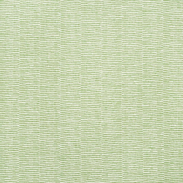 Schumacher Promenade Indoor/Outdoor Leaf Fabric