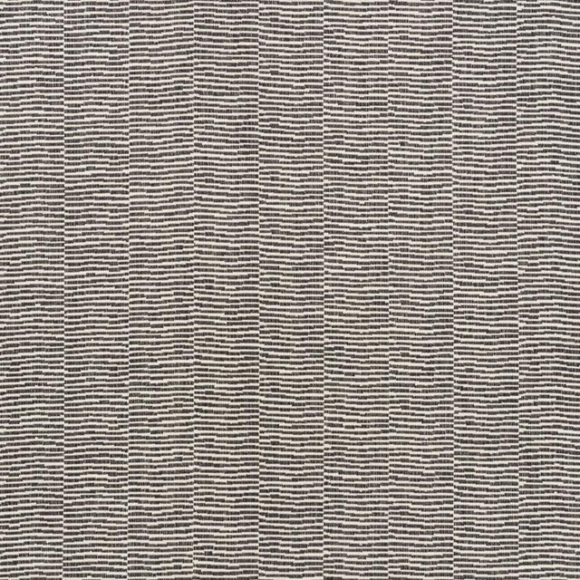 Schumacher Promenade Indoor/Outdoor Black Fabric