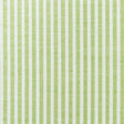 Schumacher Easton Stripe Indoor/Outdoor Leaf Fabric