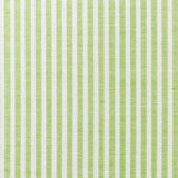 Schumacher Easton Stripe Indoor/Outdoor Leaf Fabric