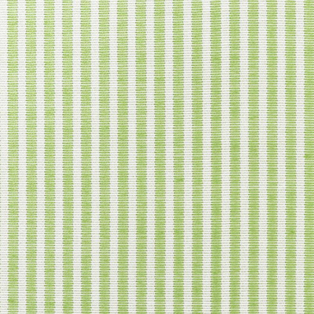 Schumacher Easton Stripe Indoor/Outdoor Leaf Fabric