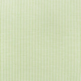 Schumacher Easton Stripe Indoor/Outdoor Leaf Fabric