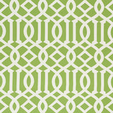 Schumacher Imperial Trellis Indoor/Outdoor Leaf Fabric
