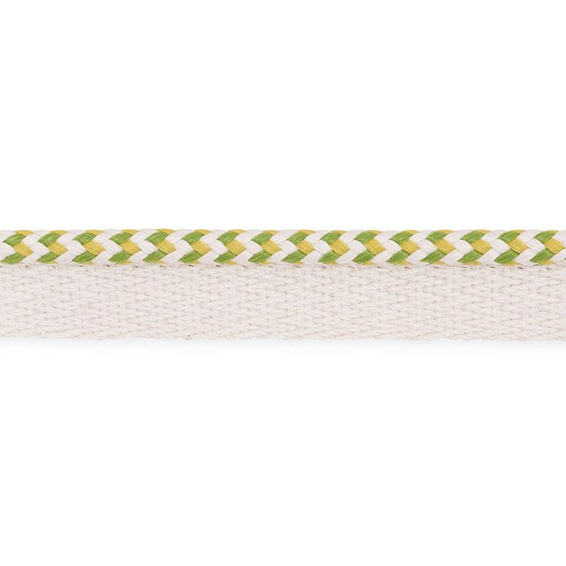 Schumacher Leaf Bolander Cord Indoor/Outdoor