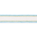 Schumacher Filippa Tape Indoor/Outdoor Aqua Trim