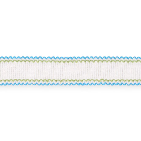 Schumacher Aqua Filippa Tape Indoor/Outdoor