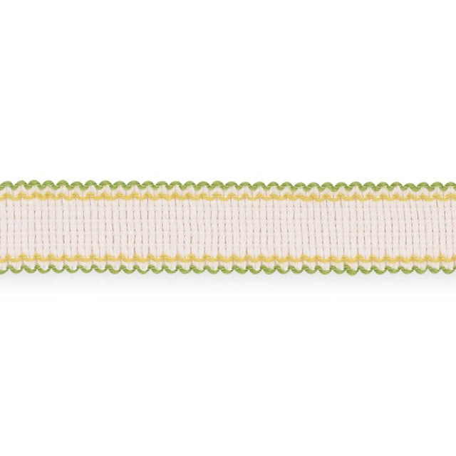 Schumacher Leaf Filippa Tape Indoor/Outdoor