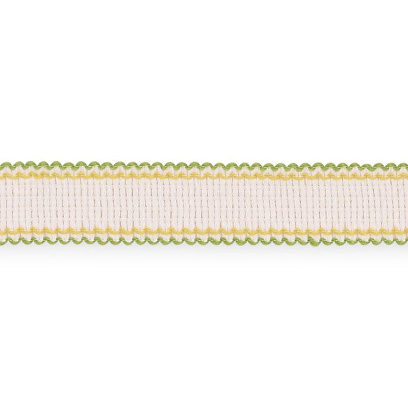 Schumacher Filippa Tape Indoor/Outdoor Leaf Trim