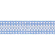 Schumacher Chambray Marta Tape Indoor/Outdoor