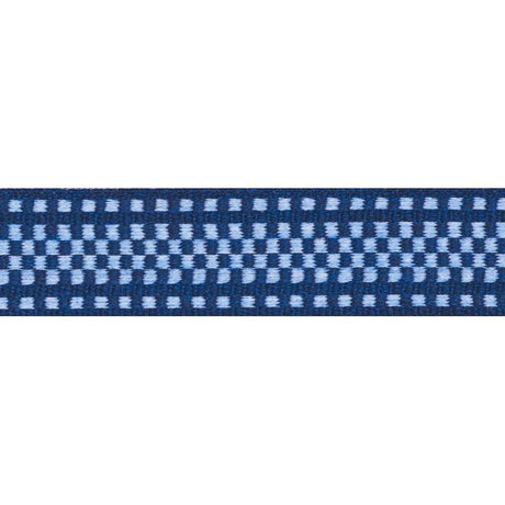 Schumacher Chambray & Navy Marta Tape Indoor/ Outdoor