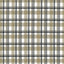 Kasmir Tamron Plaid Sandstone Fabric