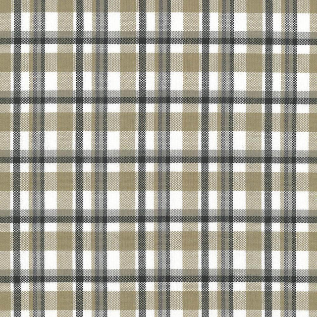 Kasmir Tamron Plaid Sandstone Fabric