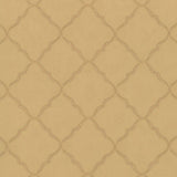 Kasmir Tandoori Sheer Honey Fabric