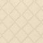 Kasmir Tandoori Sheer Nude Fabric