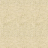 Kravet FINNIAN COCONUT Upholstery Fabric