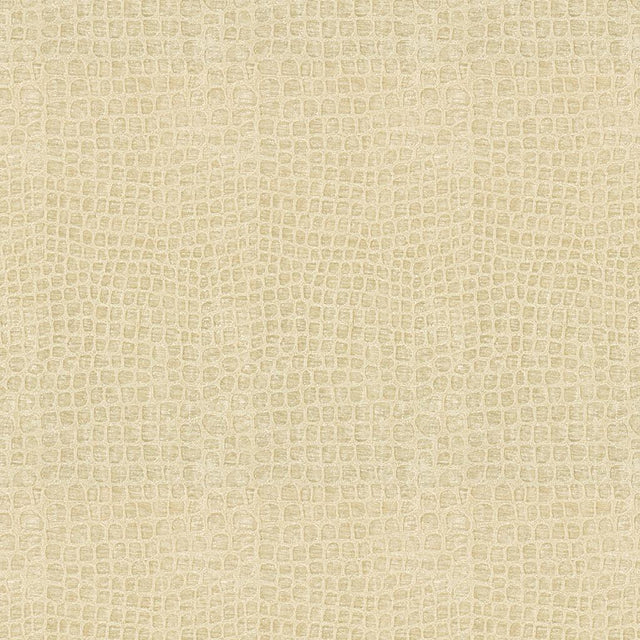 Kravet FINNIAN COCONUT Upholstery Fabric